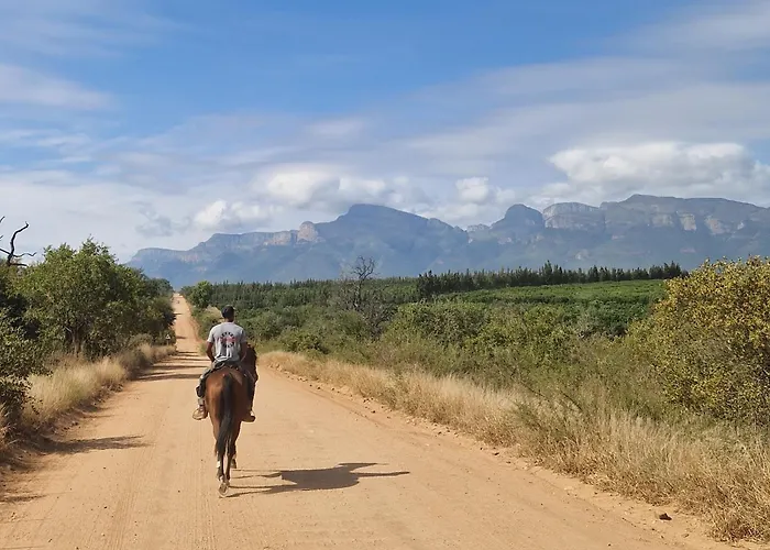 Thandolwami Bushlodge & Spa