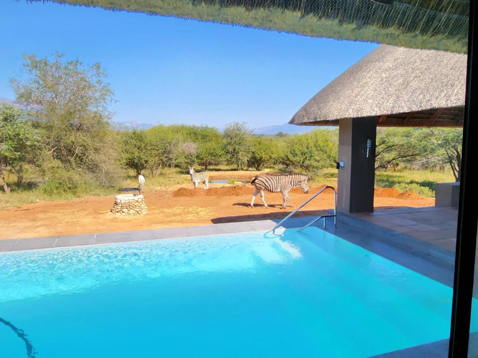 Thandolwami Bushlodge &