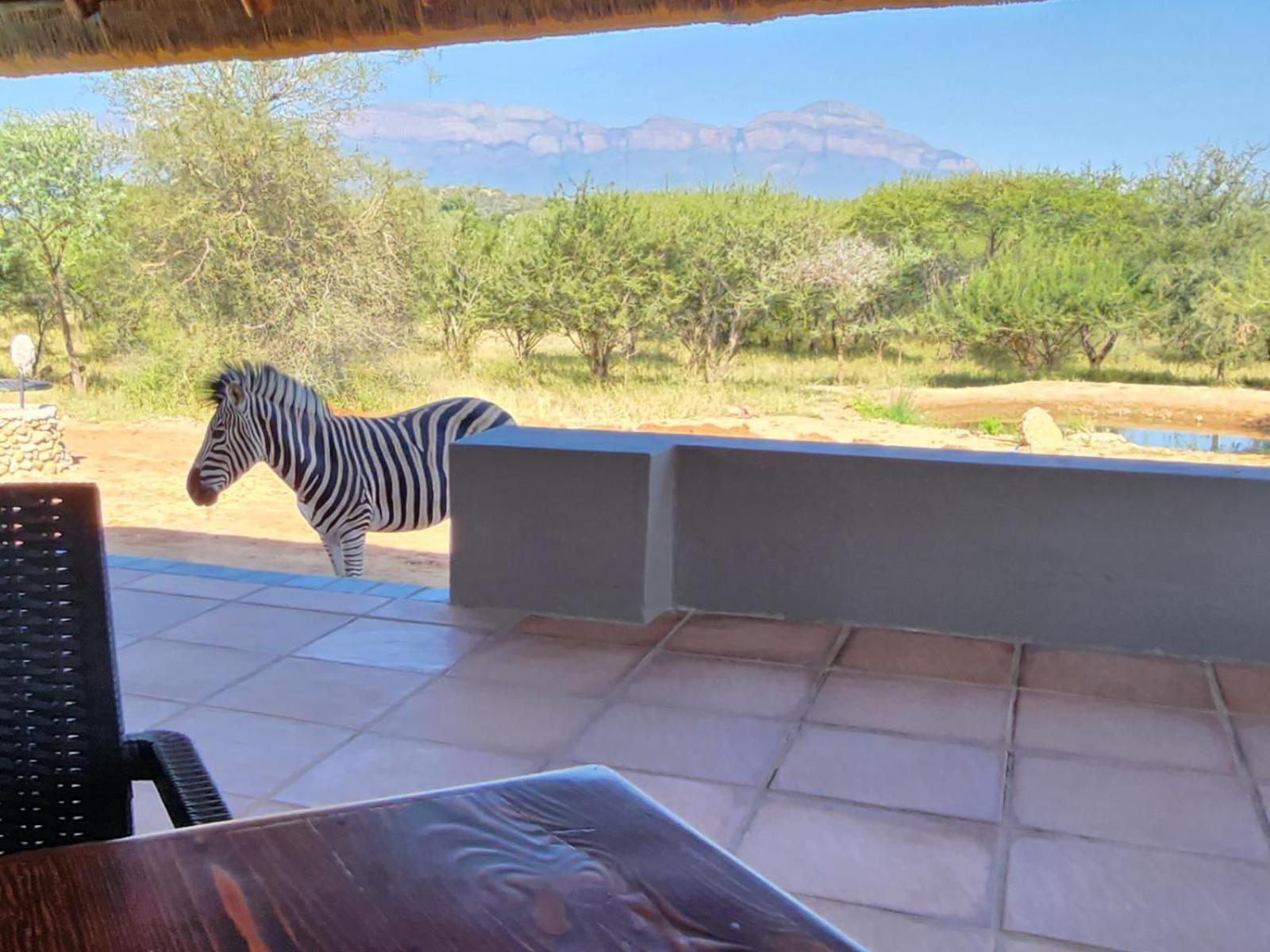 Thandolwami Bushlodge & *