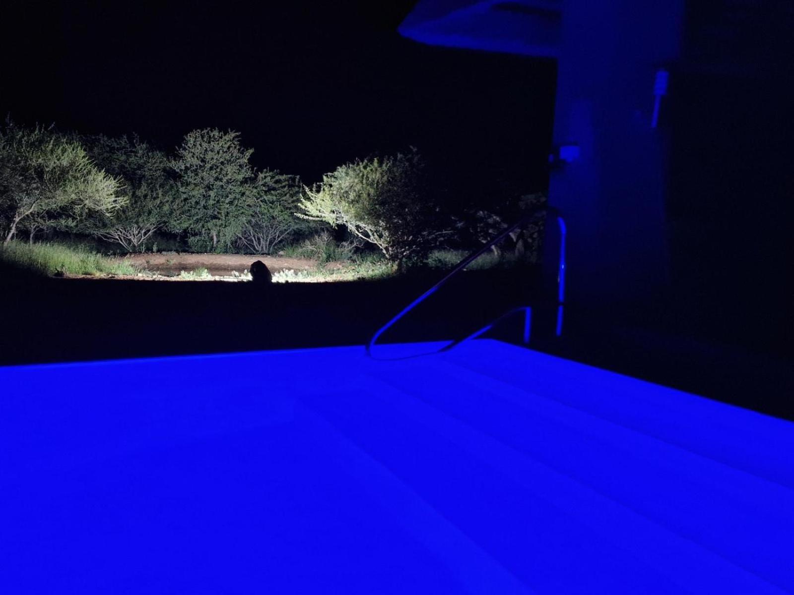 Thandolwami Bushlodge & Hoedspruit