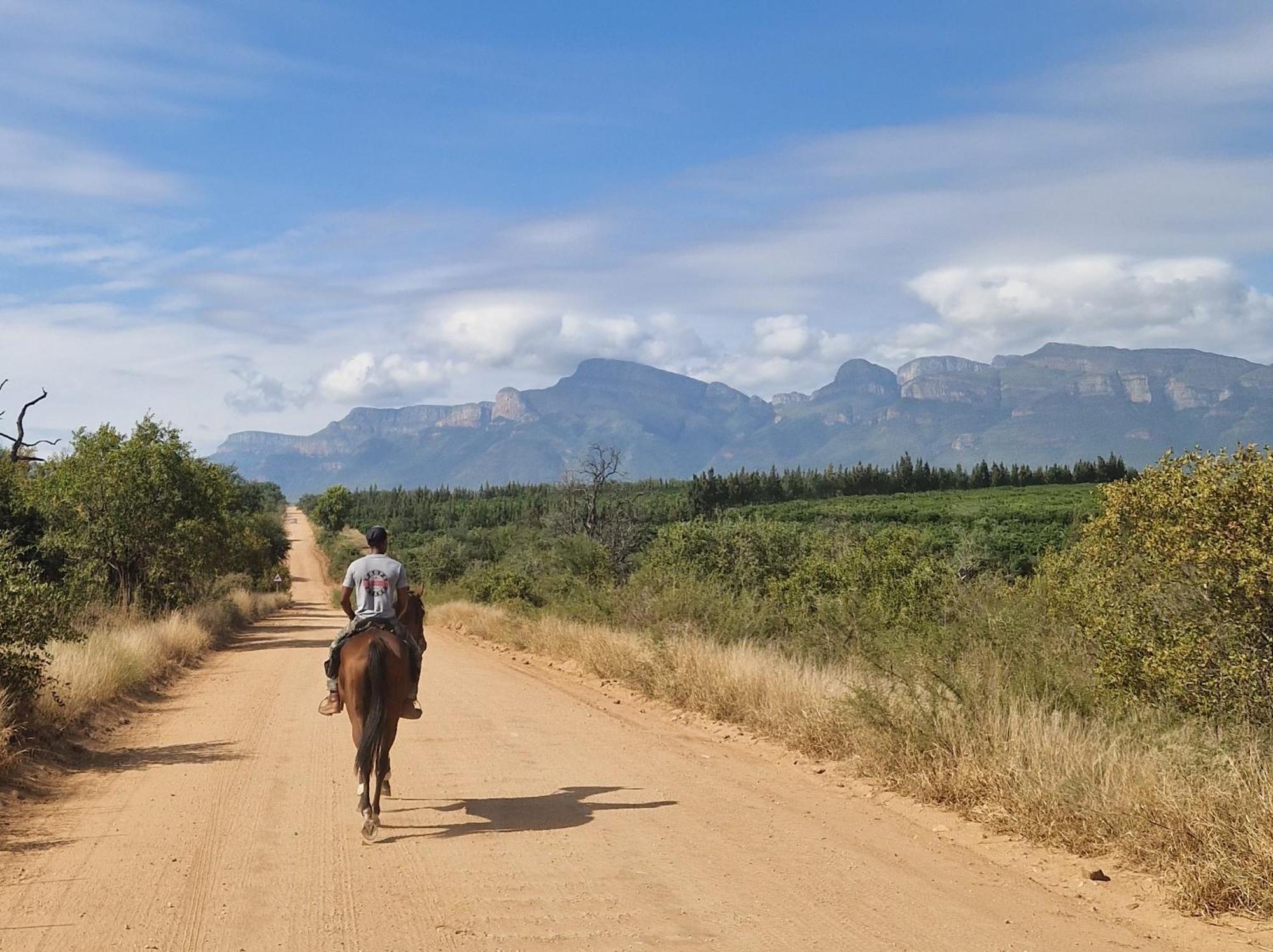 Thandolwami Bushlodge & Hoedspruit