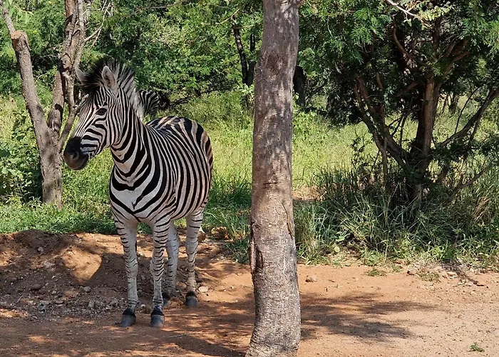 Thandolwami Bushlodge & Spa