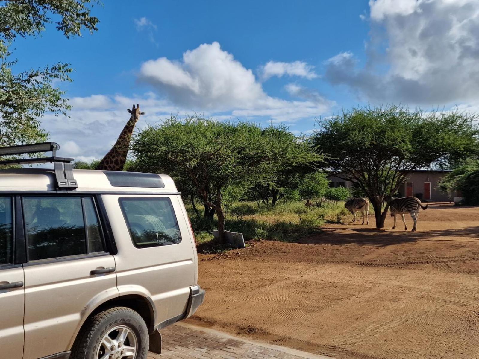 Thandolwami Bushlodge & Hoedspruit